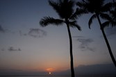 Enlarge photo 176