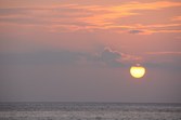 Enlarge photo 177