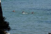 Enlarge photo 179