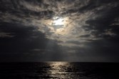 Enlarge photo 181
