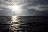 Enlarge photo 182