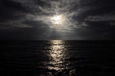 Enlarge photo 184