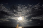 Enlarge photo 183