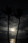 Enlarge photo 185