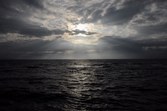Enlarge photo 189
