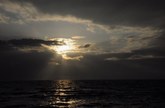 Enlarge photo 190