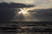 Enlarge photo 191