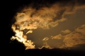 Enlarge photo 204