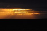 Enlarge photo 213