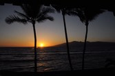 Enlarge photo 206