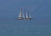 Enlarge photo 200
