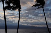 Enlarge photo 214