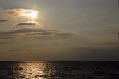 Enlarge photo 220