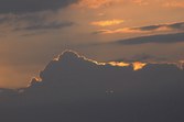 Enlarge photo 227