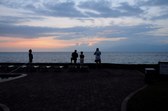 Enlarge photo 223