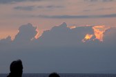 Enlarge photo 225