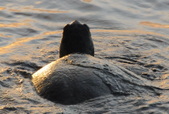 Enlarge photo 28