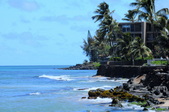 Enlarge photo 120