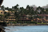 Enlarge photo 126