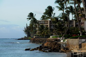 Enlarge photo 127