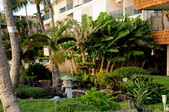 Enlarge photo 128