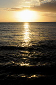 Enlarge photo 129