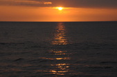 Enlarge photo 133