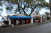Enlarge photo 135