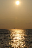 Enlarge photo 136
