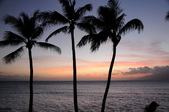 Enlarge photo 138