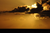 Enlarge photo 137