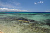 Enlarge photo 146