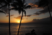 Enlarge photo 147