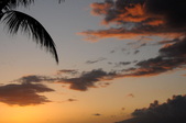 Enlarge photo 149
