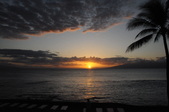 Enlarge photo 154