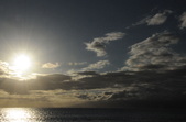 Enlarge photo 156