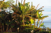 Enlarge photo 155