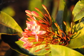 Enlarge photo 159