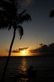 Enlarge photo 168
