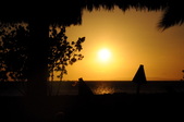Enlarge photo 169