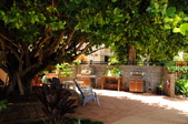 Enlarge photo 173