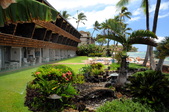 Enlarge photo 178