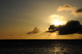 Enlarge photo 179