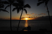 Enlarge photo 180