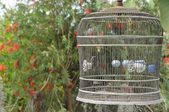 Enlarge photo 30