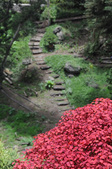 Enlarge photo 35