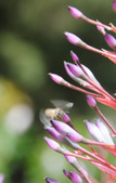 Enlarge photo 37