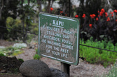 Enlarge photo 38
