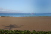 Enlarge photo 43
