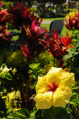 Enlarge photo 44
